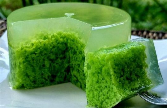 Resep Puding Lumut Sensasi Rasa Yang Sempurna